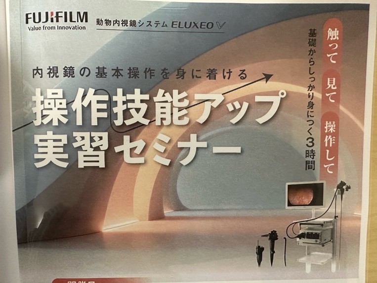 【美品】小動物の内視鏡学 LLLセミナー 内視鏡セミナーに行ってきました | ネクスト動物医療センター/芦屋市川西町