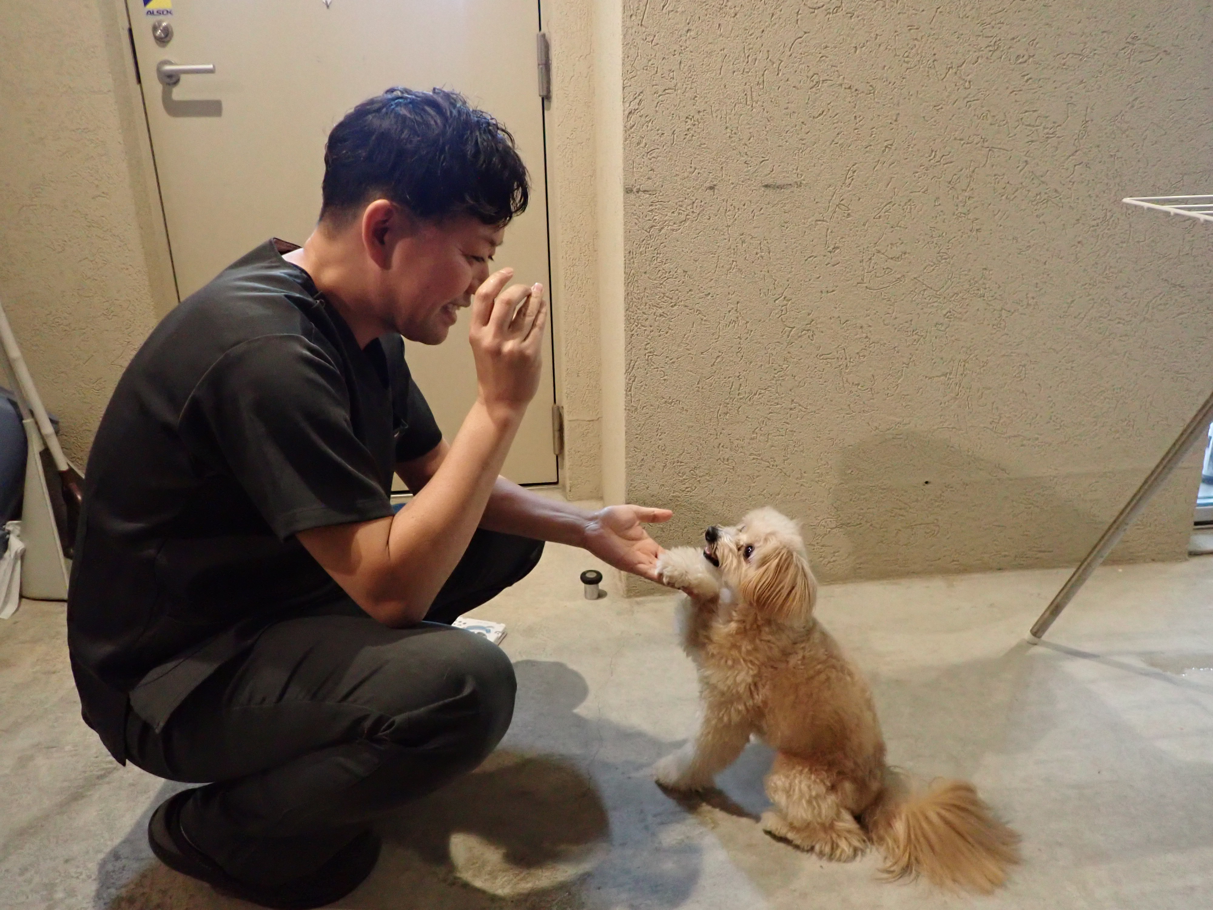 staff_kawakami_ryo
